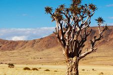 Reiten Namibia Namibwüste