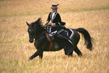Reiterin in Tracht auf galoppierendem Pferd im Getreidefeld