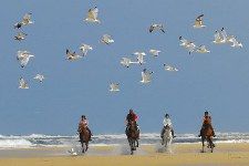Reiturlaub Andalusien Pferde Meer