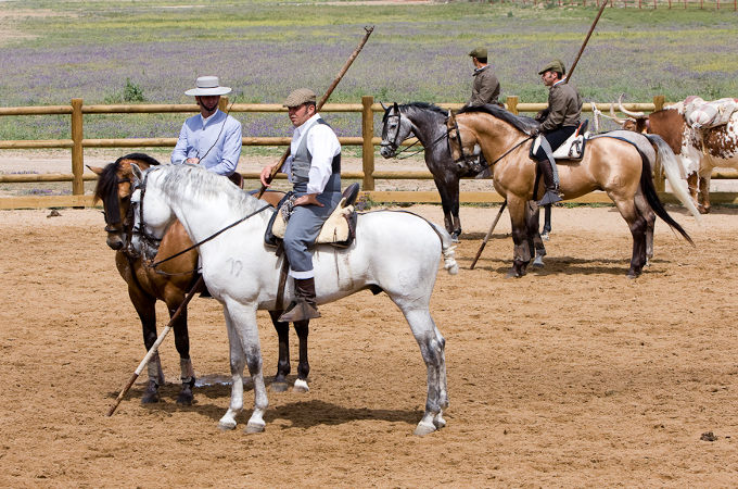 Vorführung der Rinderhirten zu Pferd - Reise Feria de Abril