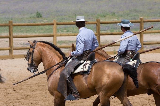Reiten, Traditionen und Pferdefeste in Spanien