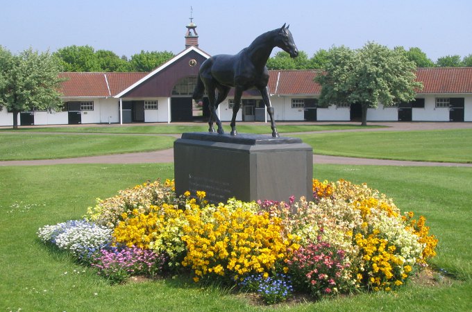 Reitsport und Pferdezucht England - Reise Royal Windsor Horse Show
