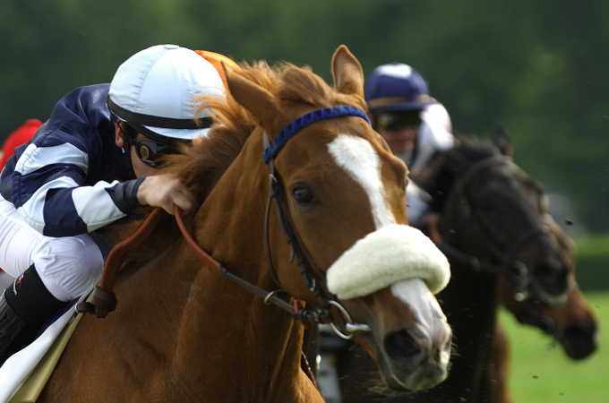 Springreiten und Pferderennen in England - Horse Show London