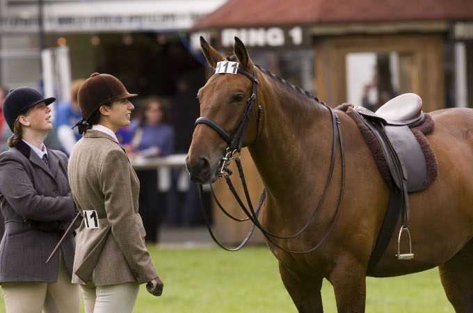 Pferdeschau und Reitturnier Dublin Irland - Pferdesportreise