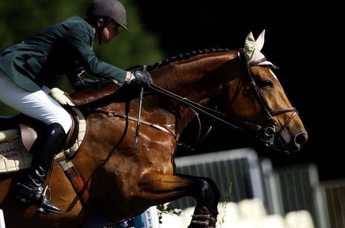 Reiterreise Irland zur Dublin Horse Show