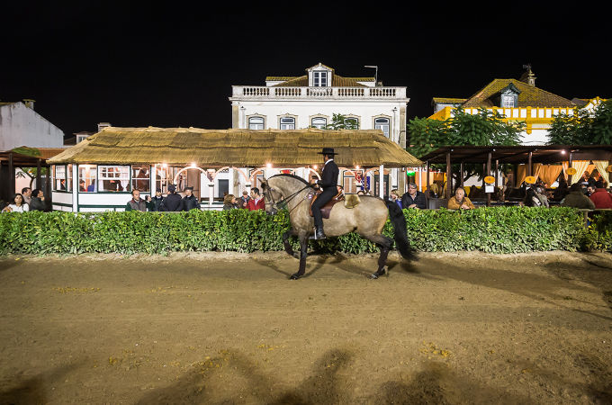 Pferd und Reiter zeigen Dressur auf dem Reitplatz bei Nacht.