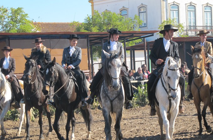 Stolze Reiter auf Lusitanos in portugiesischer Tracht