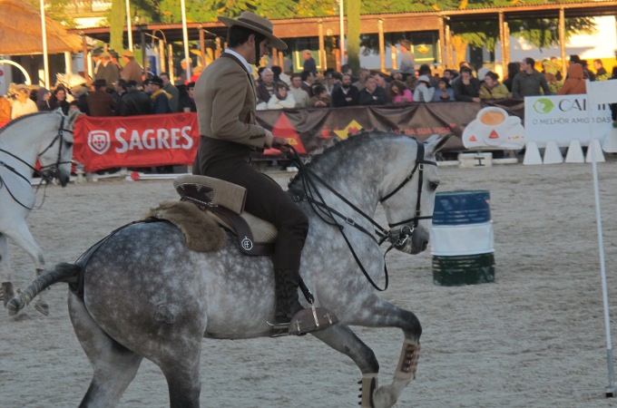Reiter beim Working-Equitation-Wettbewerb.