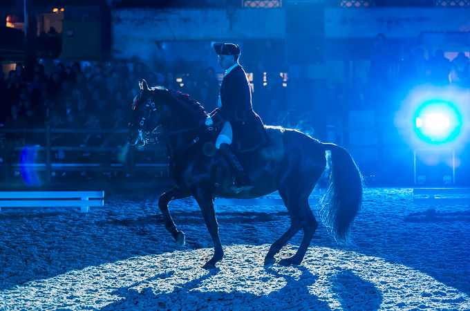 Dressur-Show beim Pferde-Festival in Portugal