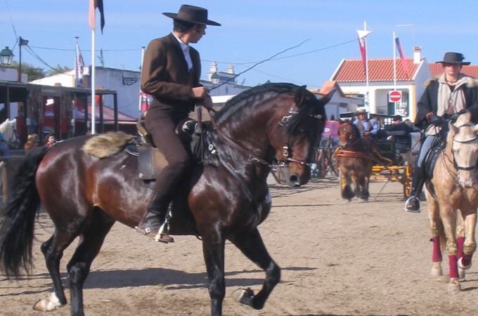 Reiter in Tracht auf dunkelbraunem geschmücktem Pferd