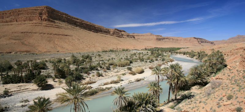 Reittouren in Marokko - Palmenhaine, Arganbäume und Sanddünen